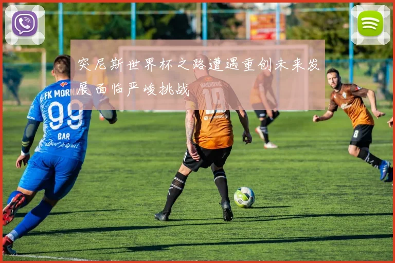 突尼斯世界杯之路遭遇重创未来发展面临严峻挑战