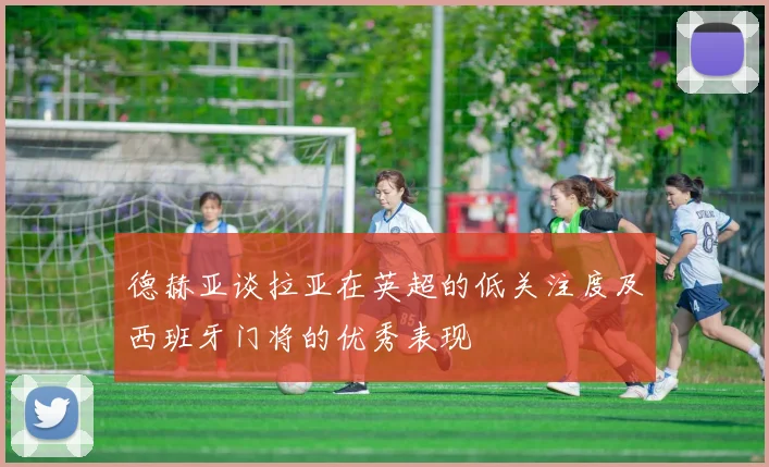 德赫亚谈拉亚在英超的低关注度及西班牙门将的优秀表现